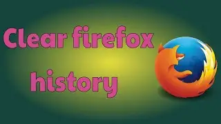 How to Delete Firefox Browsing and web Data History