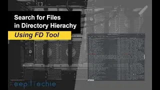 FD | Search for Files using the Terminal