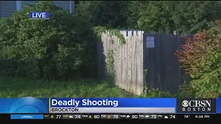 16-Year-Old Boy Killed By Shooting In Brockton