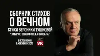 Стихи о любви. Хмурую землю стужа сковала Вероники Тушновой, в исполнении Виктора Корженевского