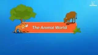 The Animal World | Educational Videos For Kids | Periwinkle