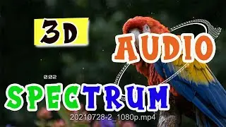 3D Audio Spectrum Whatsapp Status | DTECBROZ