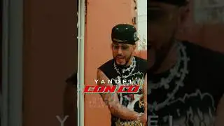 Llegó el verano y mami tú me gustas Con co 🥵 @yandel #music #yandel