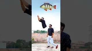 Flying body parts Vs Giant fish eating game for cute brothers 😄😉 