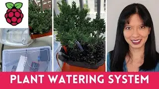 DIY Raspberry Pi Arduino Plant Watering System