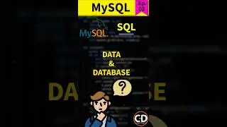 Data vs Database - MySQL Short Series Ep.03 