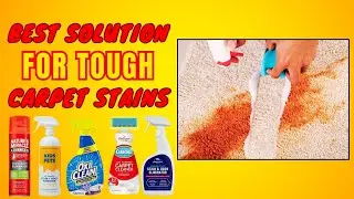 Best Carpet Spot Remover - Ultimate Solution For Tough Carpet Stains