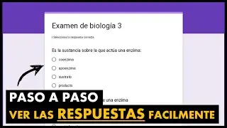 ✅ Cómo VER RESPUESTAS de un Formulario en Google Forms 2024 🚀 Tutorial de GOOGLE FORMS