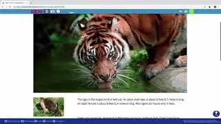 World Book Online Short