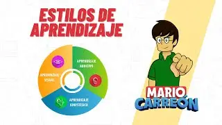 Estilos de aprendizaje