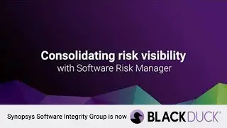 Consolidating Risk Visibility with Software Risk Manager | Black Duck