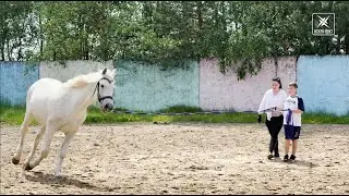 Проект 