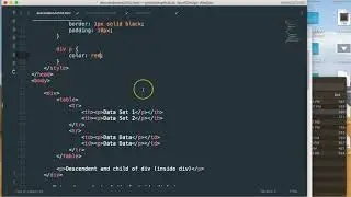 Web Basics - Descendent and Child Selectors