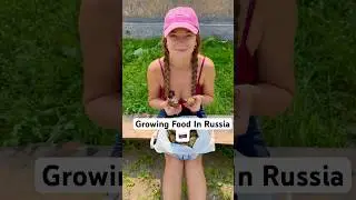 Growing Potatoes In Russia🇷🇺 Gardening