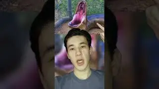 🐍Вот Что Произошло Бы Если Бы Вас Проглотила Змея!😱 