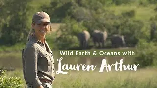 Wild Earth & Oceans with Lauren Arthur