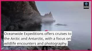 Top 10 Expedition Cruises for Exploring Polar Regions and Wildlife