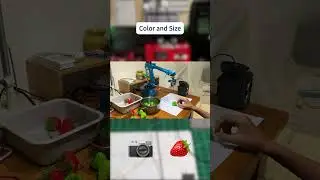 Sorting with a robotic arm using Raspberry Pi, Python, and OpenCV 