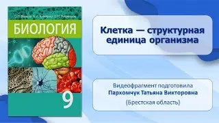 Клетки, ткани, органы и системы органов. Тема 1. Клетка — структурная единица организма