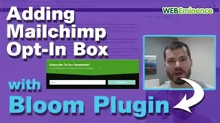 Mailchimp Opt-ins Forms on a WordPress Site - Here's the Plugin I Use to Add Mailchimp Forms!