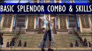 SPLENDOR BASIC COMBO & SKILL SETS | Swordsman Online 200