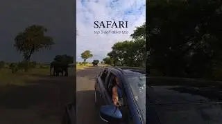 Top 5 things we learned when doing a self-drive safari in 