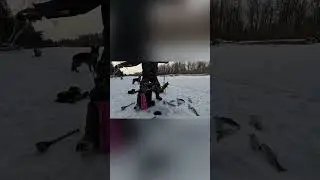 Забагрил… |рыбалка в России | #fishing  #рыбалка #shorts