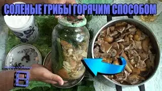 The recipe for salted mushrooms is hot