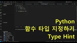 Python 기초 - 함수 타입 지정, Type hint