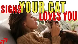 Does My Cat Love Me And See Me As It's Mother / How Do I Know If My Cat Loves Me / Cat World Academy