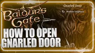 How to Open Gnarled Door in Hag basement in Baldur's Gate 3