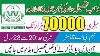 Naib Tehsildar Jobs 2023 - How to Apply Naib Tehsildar Jobs 2023 - Board of Revenue Jobs 2023 Apply