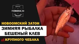 Зимняя рыбалка на Новоомском затоне р.Иртыш. Бешеный клев чебачка