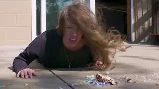 Mildly Infuriating Birthday Cake Trip Hazard