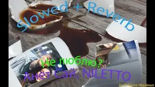 Анет Сай, NILETTO - Не люблю? (Slowed + Reverb)