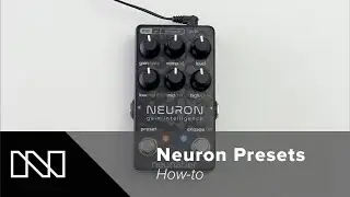 Neuron Presets