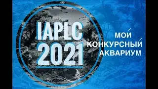 аквадизайн, акваскейпинг, конкурс iaplc2021