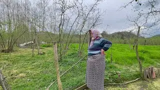 KÖY HAYATI BAHÇENİN SON HALİ GÜLMEKTEN ÖLDÜK KÖYDE BU GÜN KÖY BELGESELİ