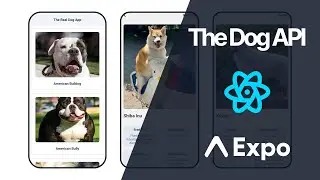 The Dog API - Build a React Native Mobile App Using the TheDogApi