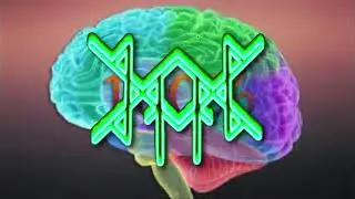⚡⚡Активация 100%  работы мозга рунами