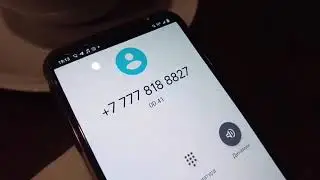 блогер спугнул мошенников