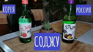 Cоджу Jinro и Stun. Что это и как пить?