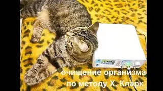 Долголетие, очищение организма с помощью прибора (по методу Х. Кларк)