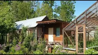 Дачные заботы.Заморозки по области.Устали спасать Улетаем.САД, ОГОРОД,ТЕПЛИЦЫ.