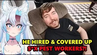 MORE S*xpest Allegations Involving Mr Beast... || Dogpack404 React