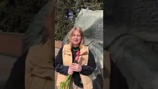 Литературный клуб "Амфир". "Салют взрывает тишину", Юрий Шмидт