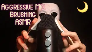 AGGRESSIVE MIC BRUSHING ASMR - BLIND ASMR