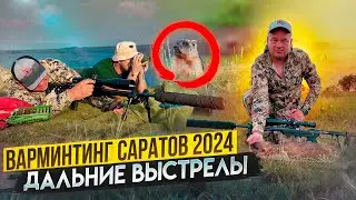 Охота на сурка байбака. Варминтинг 2024