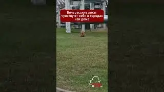 В 