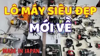 ( Về Lô Mới ) Máy Câu Nhật Bản Hàng Đẹp Chính Hãng | Shimano Daiwa #máycâunhật #máycâunhậtbãi